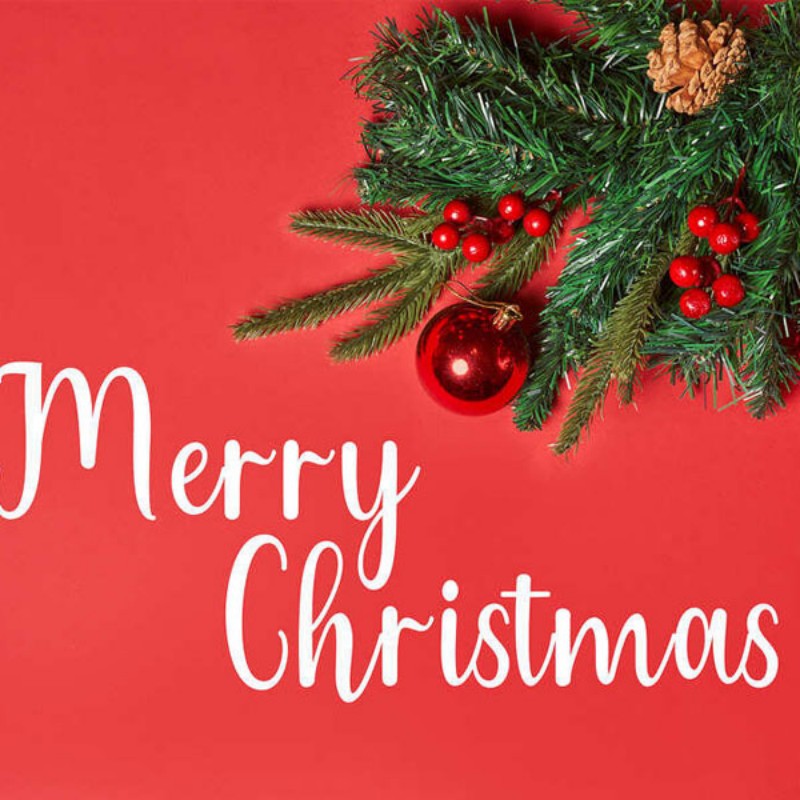 Comemore o Natal com alegria e carinho